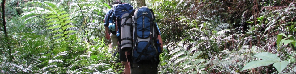 Walk the Black Cat Track